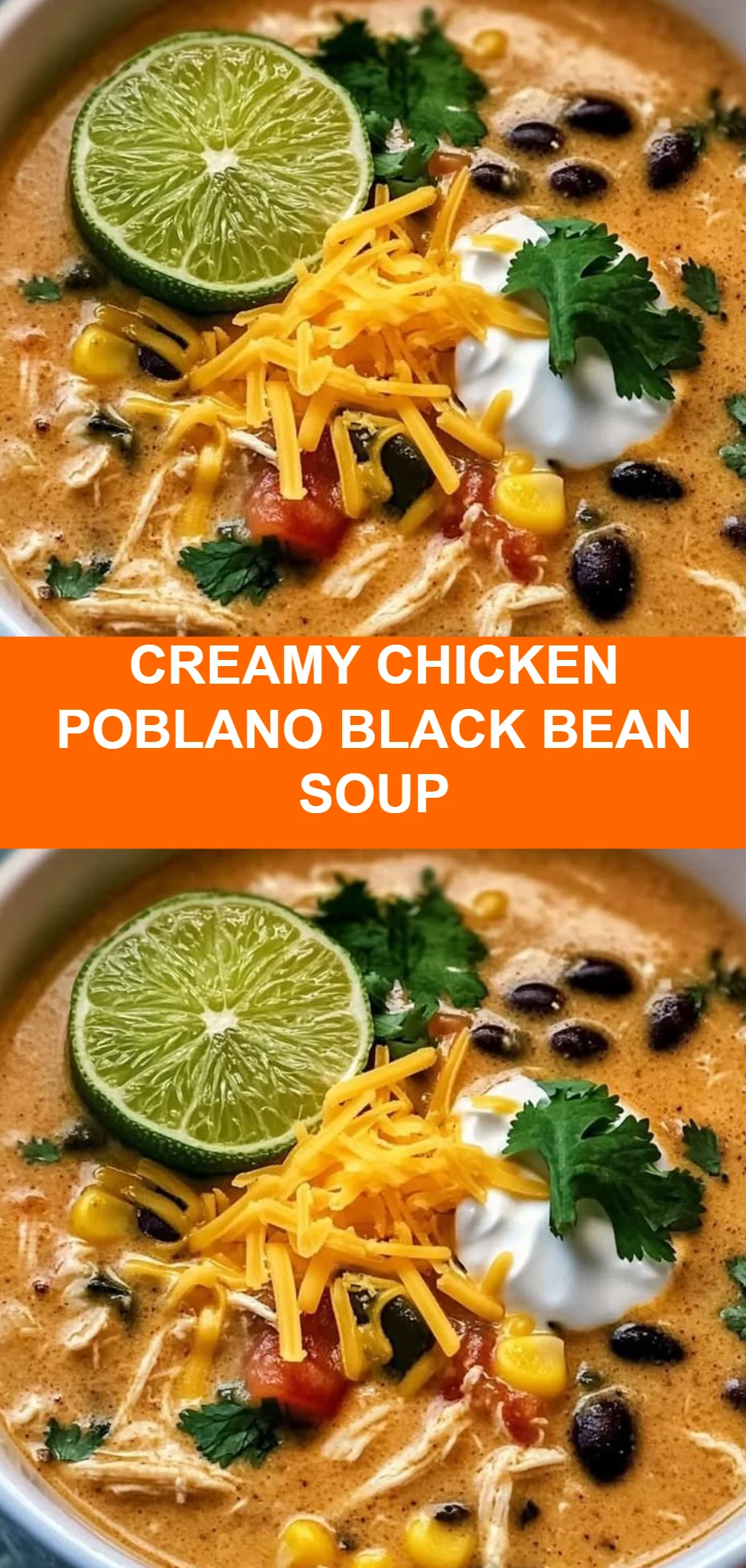 Creamy Chicken Poblano Black Bean Soup