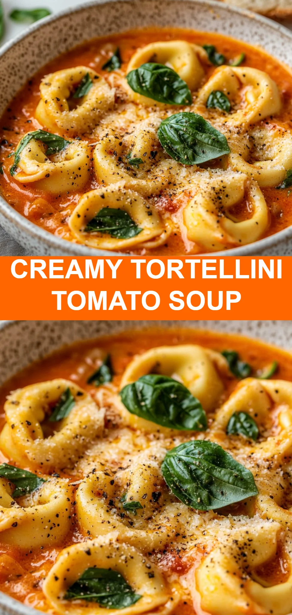 Creamy Tortellini Tomato Soup