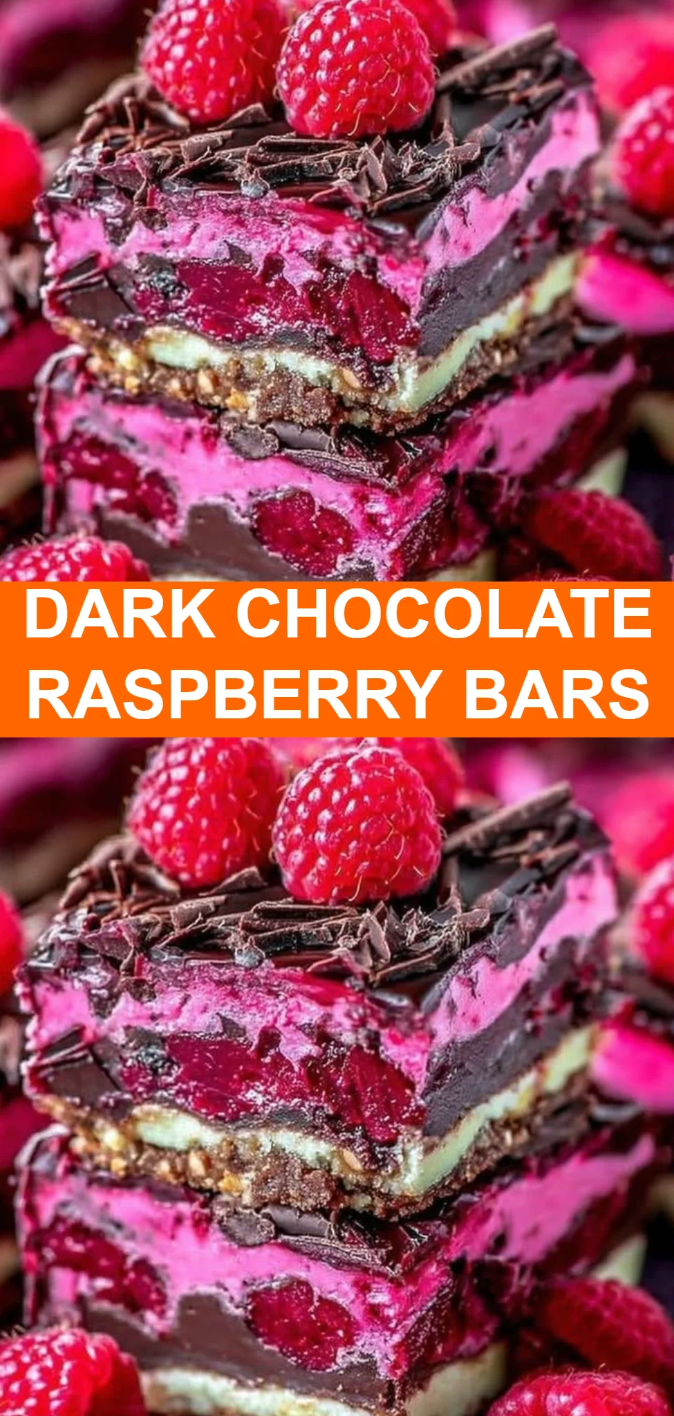 Dark Chocolate Raspberry Bars