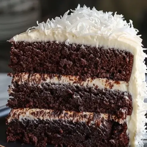 Slice of divine coconut chocolate cake topped with coconut flakes