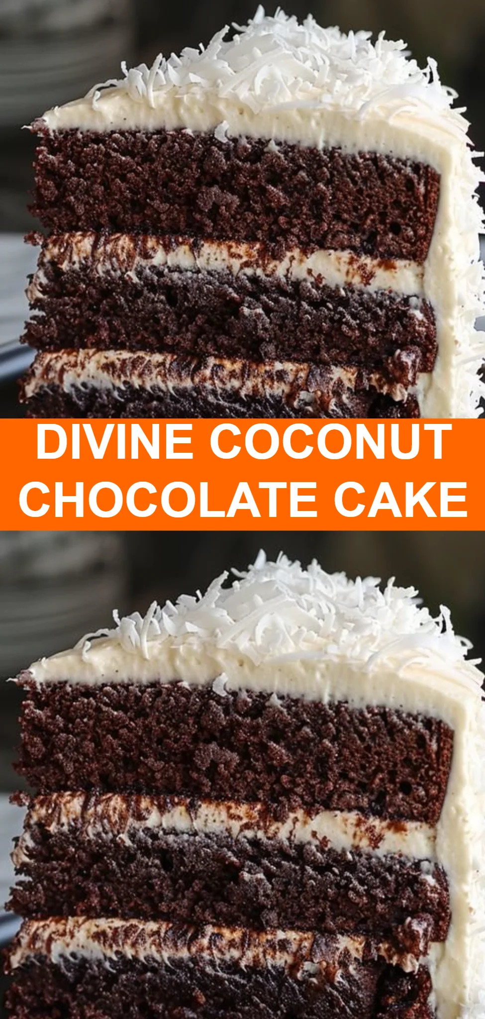 Divine Coconut Chocolate Cake