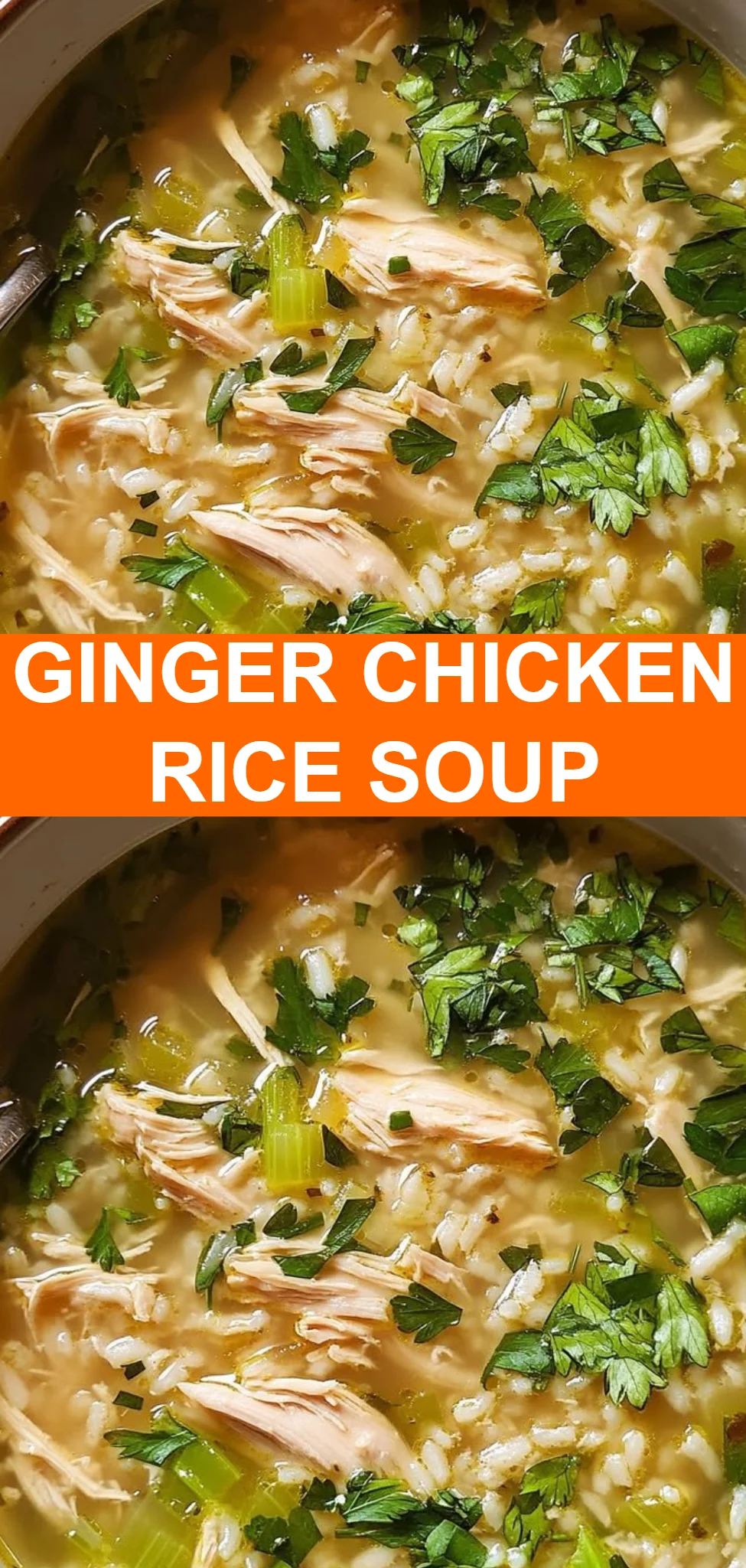 Ginger Chicken Rice Soup