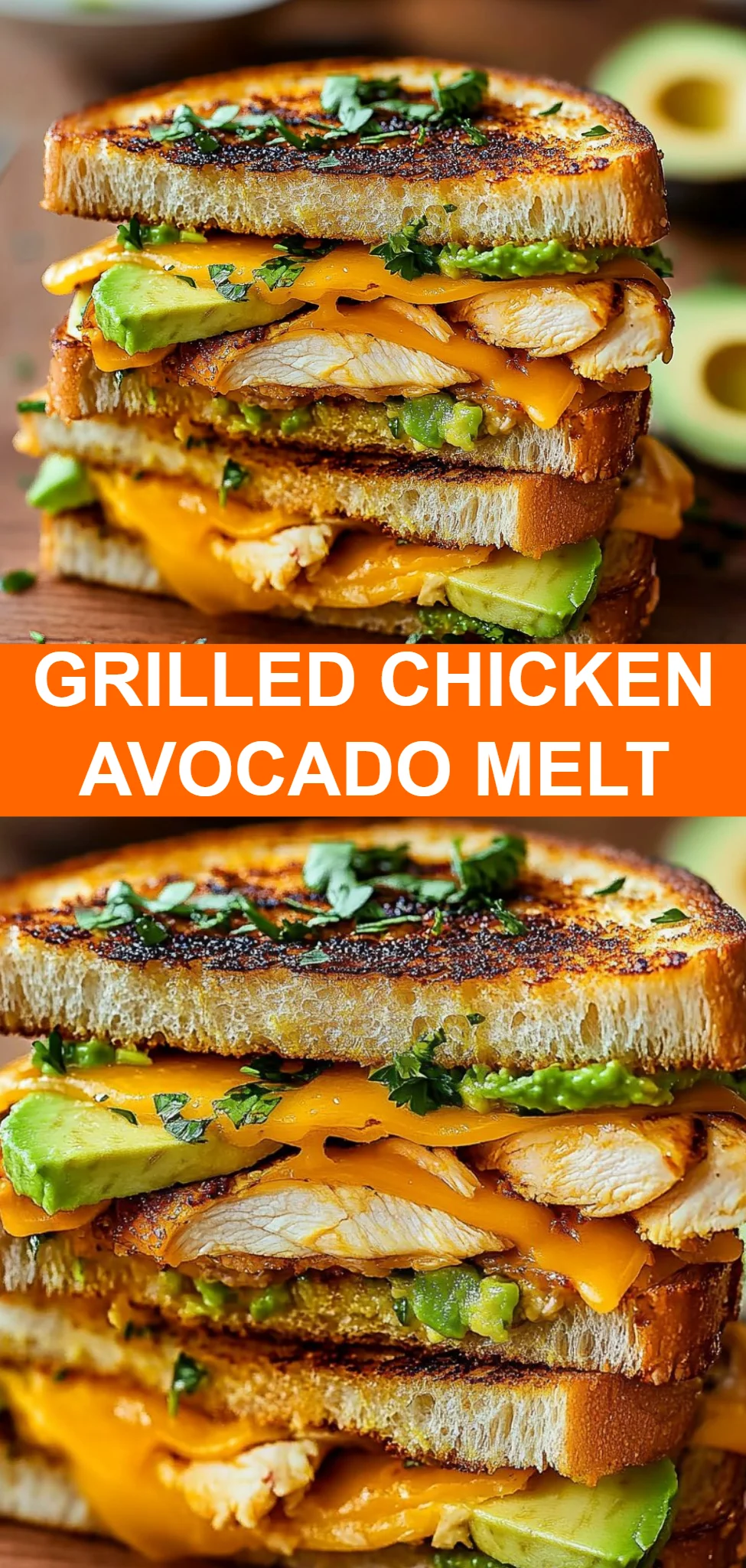 Grilled Chicken Avocado Melt