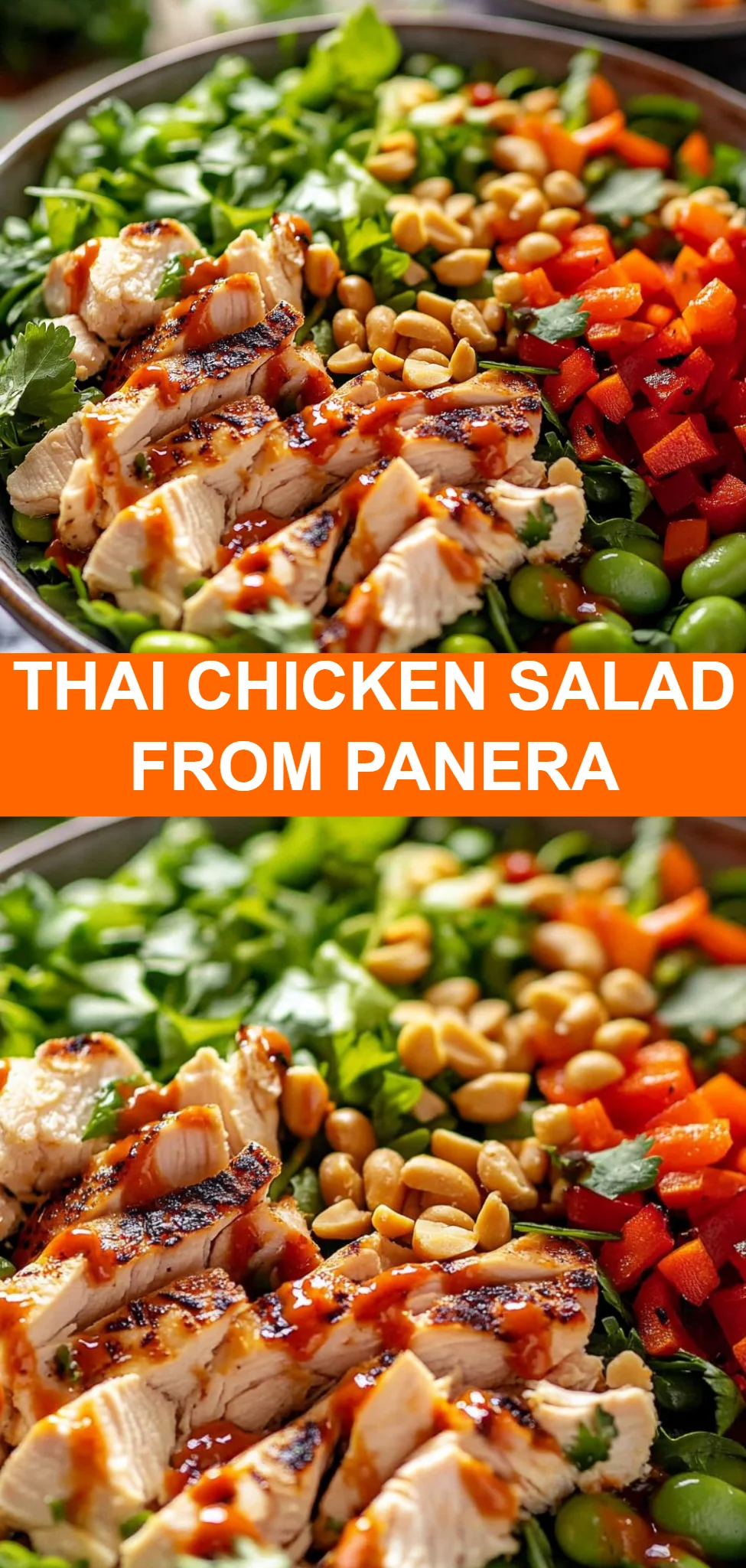 Thai Chicken Salad from Panera