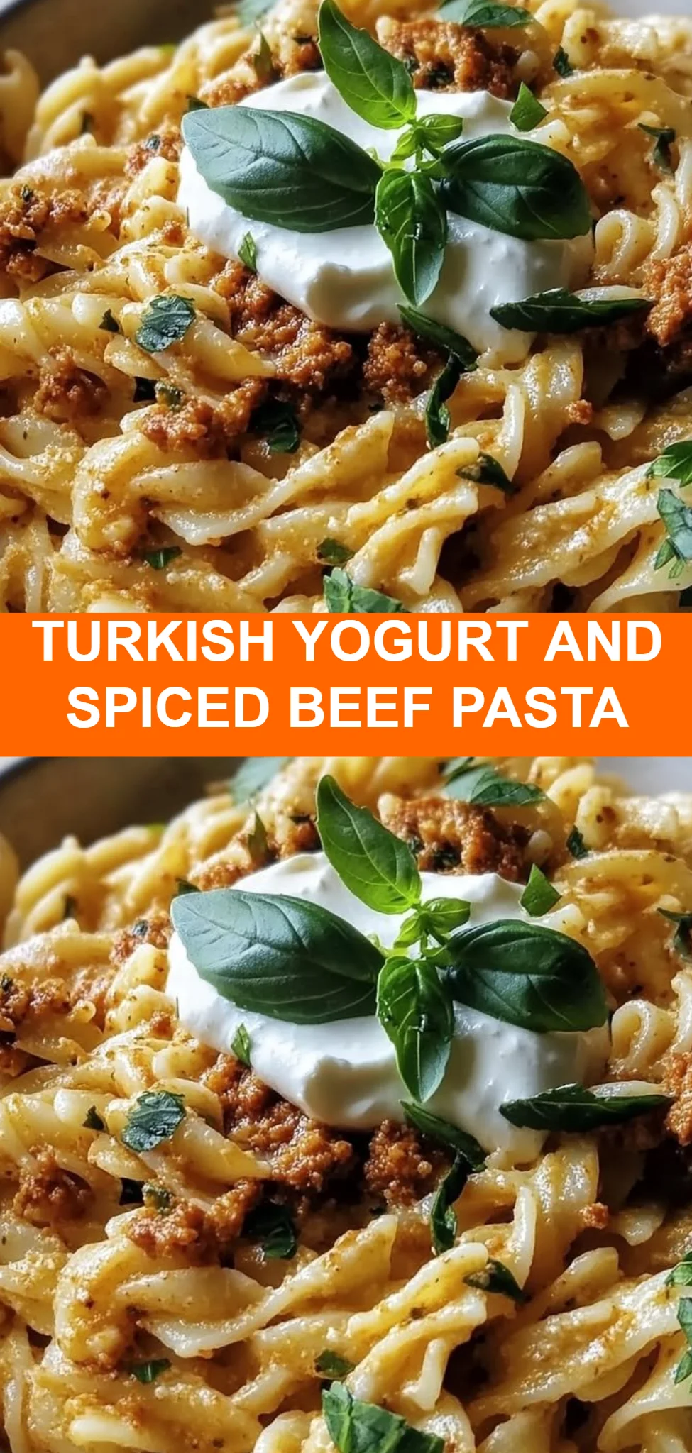 Turkish Yogurt and Spiced Beef Pasta